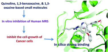 Graphical abstract: Screening of quinoline, 1,3-benzoxazine, and 1,3-oxazine-based small molecules against isolated methionyl-tRNA synthetase and A549 and HCT116 cancer cells including an in silico binding mode analysis