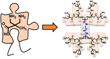 Graphical abstract: Synthesis of all-aliphatic polyamide dendrimers based on a 3,3′-diaminopivalic acid scaffold
