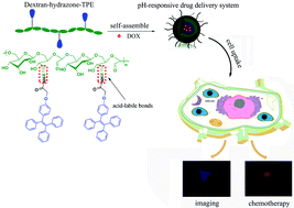 Graphical abstract: A pH-responsive drug delivery system with an aggregation-induced emission feature for cell imaging and intracellular drug delivery