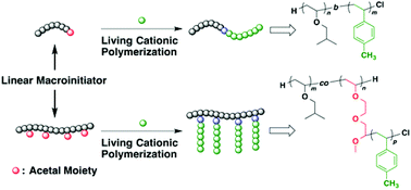 Graphical abstract: Synthesis of block or graft copolymers containing poly(styrene derivative) segments by living cationic polymerization using acetal moieties as latent initiating sites