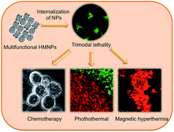 Graphical abstract: An ‘all in one’ approach for simultaneous chemotherapeutic, photothermal and magnetic hyperthermia mediated by hybrid magnetic nanoparticles
