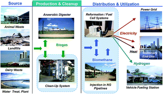 Graphical abstract: Membrane gas separation technologies for biogas upgrading