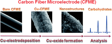Graphical abstract: Facile preparation of nanostructured copper-coated carbon microelectrodes for amperometric sensing of carbohydrates