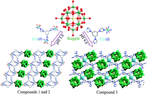 Graphical abstract: Assembly of hybrids based on polyoxotungstates and Co-tris(imidazolyl) complexes with bifunctional electrocatalytic activities