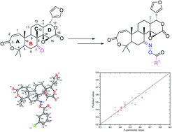 Graphical abstract: Synthesis and quantitative structure–activity relationship (QSAR) study of C7-oxime ester derivatives of obacunone as insecticidal agents