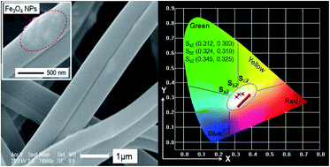 Graphical abstract: Flexible Janus nanofibers: a feasible route to realize simultaneously tuned magnetism and enhanced color-tunable luminescence bifunctionality