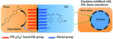 Graphical abstract: Poly(ionic liquid) Janus nanosheets towards dye degradation