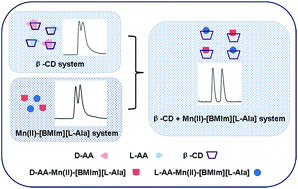Graphical abstract: Development of a capillary electrophoresis system with Mn(ii) complexes and β-cyclodextrin as the dual chiral selectors for enantioseparation of dansyl amino acids and its application in screening enzyme inhibitors