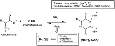 Graphical abstract: Reversible systems based on CO2, amino-acids and organic superbases