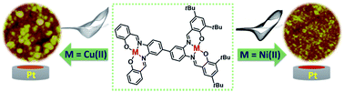 Graphical abstract: Asymmetric binuclear Ni(ii) and Cu(ii) Schiff base metallopolymers