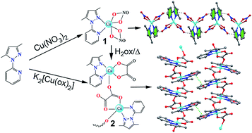 Graphical abstract: Synthesis, crystal structures, magnetic properties and DFT calculations of nitrate and oxalate complexes with 3,5 dimethyl-1-(2′-pyridyl)-pyrazole-Cu(ii)