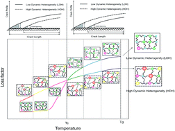 Graphical abstract: A modified De-Gennes's trumpet model for the prediction of practical adhesion of dynamically- and structurally heterogeneous polymeric networks on solid surfaces