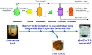Graphical abstract: A novel strategy for 1,3-propanediol recovery from fermentation broth and control of product colority using scraped thin-film evaporation for desalination