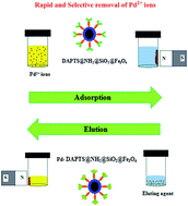 Graphical abstract: A highly efficient and magnetically retrievable functionalized nano-adsorbent for ultrasonication assisted rapid and selective extraction of Pd2+ ions from water samples
