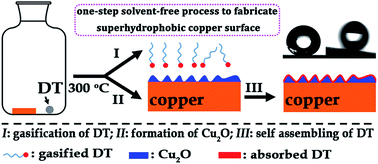 Graphical abstract: Superhydrophobic surface on copper via a one-step solvent-free process and its application in oil spill collection