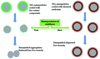Graphical abstract: A comparative analysis of a TiO2 nanoparticle dispersion in various biological extracts