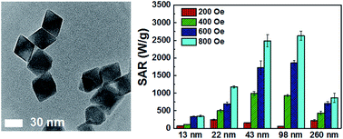 Graphical abstract: Size dependent magnetic hyperthermia of octahedral Fe3O4 nanoparticles