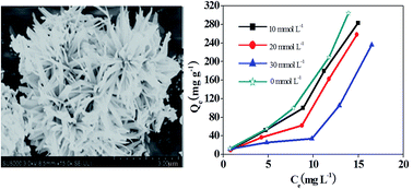 Graphical abstract: Synthesis of flower-shaped ZrO2–C composites for adsorptive removal of trichlorophenol from aqueous solution