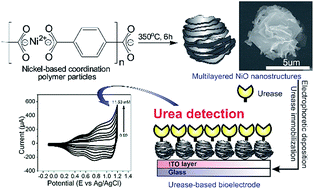 Graphical abstract: Fabrication of nickel oxide nanostructures with high surface area and application for urease-based biosensor for urea detection