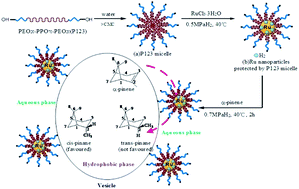 Graphical abstract: Mild water-promoted ruthenium nanoparticles as an efficient catalyst for the preparation of cis-rich pinane