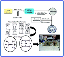 Graphical abstract: Acid catalysed cross-linking of poly vinyl alcohol (PVA) by glutaraldehyde: effect of crosslink density on the characteristics of PVA membranes used in single chambered microbial fuel cells