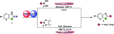 Graphical abstract: An efficient desulfitative C–C cross coupling of fused thiazolidine-2-thione with boronic acids and boronic acid pinacol esters: formation of fused thiazoles