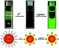 Graphical abstract: Size-dependent ligand exchange of colloidal CdSe nanocrystals with S2− ions