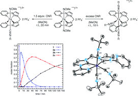 Graphical abstract: Isocyanide substitution reactions at the trans labile sites of an iron(ii) N-heterocyclic carbene complex