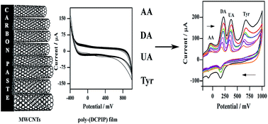 Graphical abstract: A multi-walled carbon nanotube/poly-2,6-dichlorophenolindophenol film modified carbon paste electrode for the amperometric determination of l-tyrosine