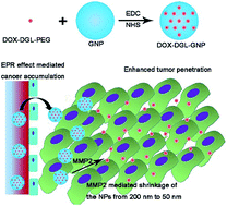 Graphical abstract: Multistage drug delivery system based on microenvironment-responsive dendrimer–gelatin nanoparticles for deep tumor penetration