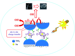 Graphical abstract: An efficient visible light photocatalyst based on tin porphyrin intercalated between TiO2–graphene nanosheets for inactivation of E. coli and investigation of charge transfer mechanism