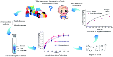 Graphical abstract: A novel method to investigate the migration regularity of toxic substances from toys to saliva and sweat
