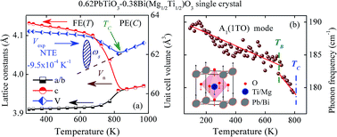 Graphical abstract: Relationship between negative thermal expansion and lattice dynamics in a tetragonal PbTiO3–Bi(Mg1/2Ti1/2)O3 perovskite single crystal