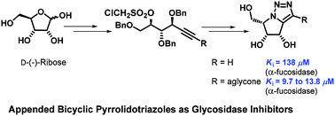 Graphical abstract: Aglycone mimics for tuning of glycosidase inhibition: design, synthesis and biological evaluation of bicyclic pyrrolidotriazole iminosugars