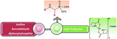 Graphical abstract: A new, efficient and recyclable [Ce(l-Pro)]2(Oxa) heterogeneous catalyst used in the Kabachnik–Fields reaction