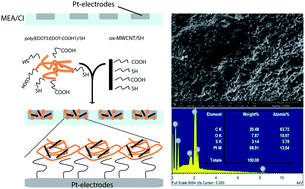 Graphical abstract: Conductive hybrid carbon nanotube (CNT)–polythiophene coatings for innovative auditory neuron-multi-electrode array interfacing