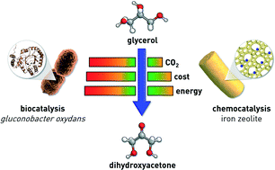 Graphical abstract: Environmental and economic assessment of glycerol oxidation to dihydroxyacetone over technical iron zeolite catalysts