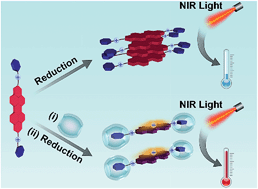 Graphical abstract: Supramolecular free radicals: near-infrared organic materials with enhanced photothermal conversion