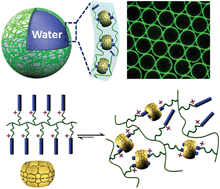 Graphical abstract: Supramolecular hydrogel microcapsules via cucurbit[8]uril host–guest interactions with triggered and UV-controlled molecular permeability