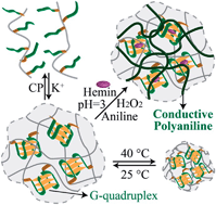 Graphical abstract: Hemin–G-quadruplex-crosslinked poly-N-isopropylacrylamide hydrogel: a catalytic matrix for the deposition of conductive polyaniline