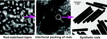 Graphical abstract: Bijels stabilized using rod-like particles
