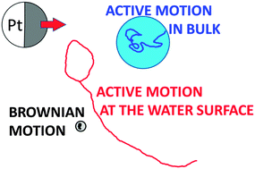 Graphical abstract: Enhanced active motion of Janus colloids at the water surface