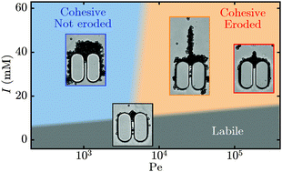 Graphical abstract: Dynamics of colloid accumulation under flow over porous obstacles