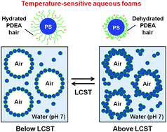 Graphical abstract: Aqueous foams stabilized by temperature-sensitive hairy polymer particles