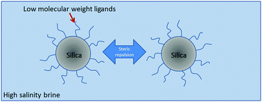 Graphical abstract: Steric stabilization of nanoparticles with grafted low molecular weight ligands in highly concentrated brines including divalent ions