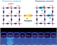 Graphical abstract: Metal–organic frameworks with inherent recognition sites for selective phosphate sensing through their coordination-induced fluorescence enhancement effect