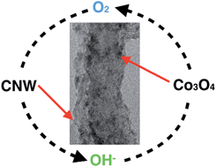 Graphical abstract: Delineating the roles of Co3O4 and N-doped carbon nanoweb (CNW) in bifunctional Co3O4/CNW catalysts for oxygen reduction and oxygen evolution reactions