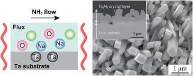 Graphical abstract: A novel flux coating method for the fabrication of layers of visible-light-responsive Ta3N5 crystals on tantalum substrates