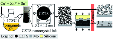 Graphical abstract: A low-cost, ligand exchange-free strategy to synthesize large-grained Cu2ZnSnS4 thin-films without a fine-grain underlayer from nanocrystals