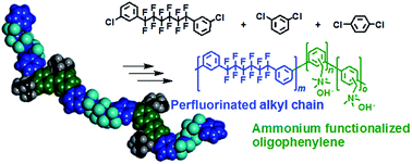 Graphical abstract: Anion exchange membranes composed of perfluoroalkylene chains and ammonium-functionalized oligophenylenes